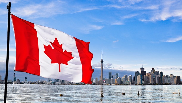 Kiểm tra tình trạng hồ sơ xin visa Canada bằng cách nào