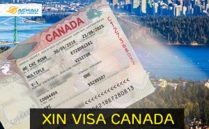 Không có người bảo lãnh xin visa du lịch Canada được không?