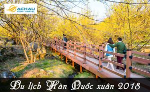 Các lý do nên đi du lịch Hàn Quốc vào mùa xuân 2018 này