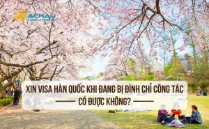 1. Xin visa Hàn Quốc khi đang bị đình chỉ công tác có được không?